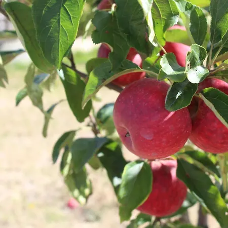 Hotel Real Abadia, Congress & 4*