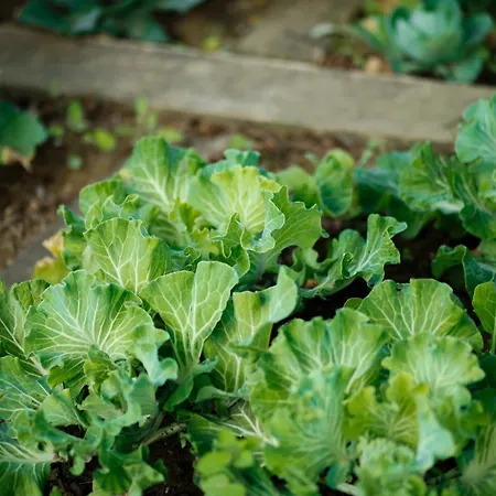 Real Abadia, Congress & 4* Alcobaça