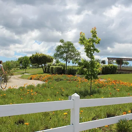 Real Abadia, Congress & 4*