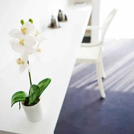 Real Abadia, Congress & 4* Alcobaça