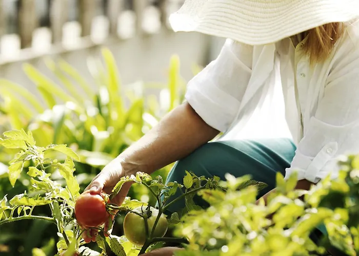 Real Abadia, Congress & Hotel Alcobaça