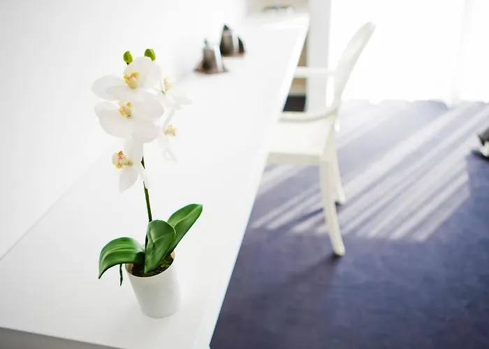 Real Abadia, Congress & 4* Alcobaça